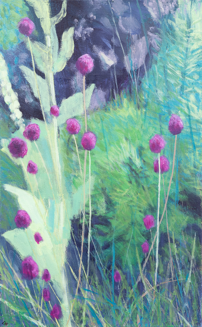 Alliums