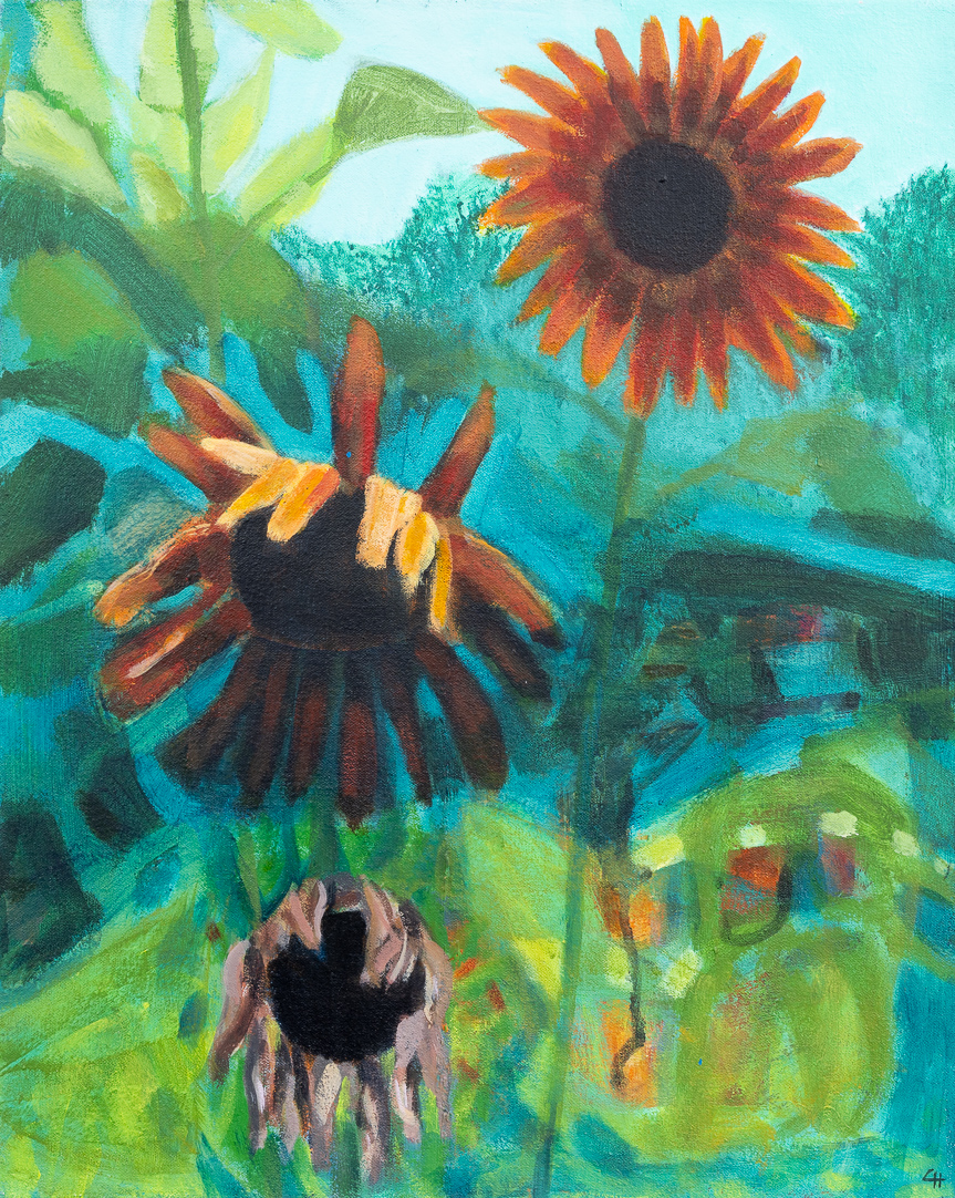 Rust Coloured Sunflowers